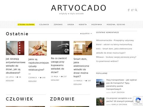 Artvocado.pl sprawdź co warto zrobić w wakacje