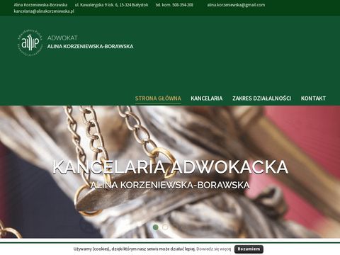 Alinakorzeniewska.pl - prawo karne