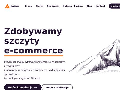 Ageno.pl - agencja interaktywna Bielsko