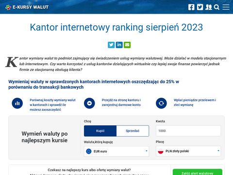 Ergokantor.pl - wymiana walut online
