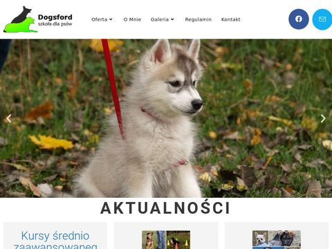 Dogsford - szkoła dla psów Gdynia, Sopot