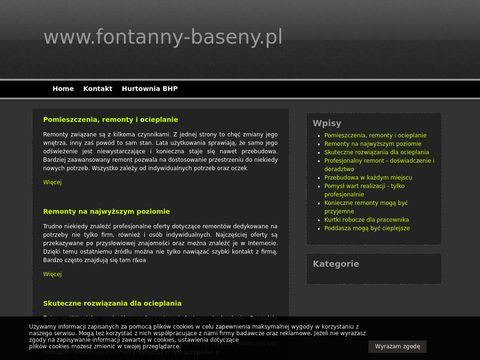 Fontanny-baseny.pl utrzymanie serwis oraz budowa