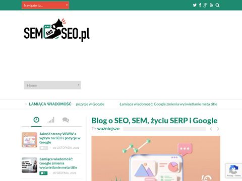Semandseo.pl blog, Google