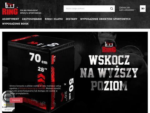 Ring-sport.pl polski producent worków treningowych