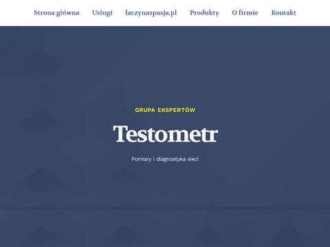 Testometr.pl - serwis biznesowy