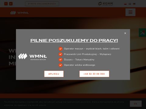 Wmn.com.pl taśma brązowa
