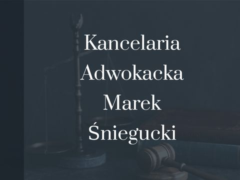 M. Śniegucki - prawo gospodarcze