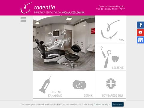 Rodentia chirurg stomatolog Opole