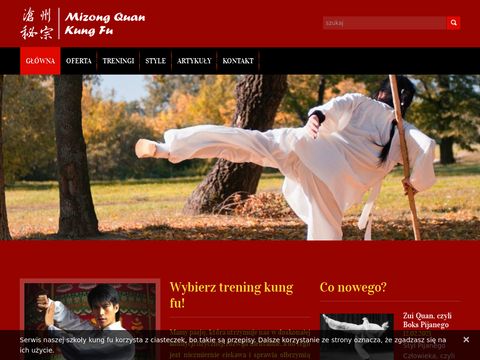 Yan qing quan kung fu