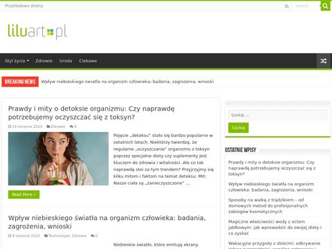 Liluart.pl portal internetowy