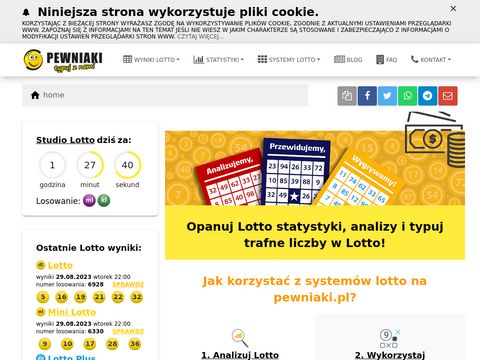 Pewniaki.pl - multilotek