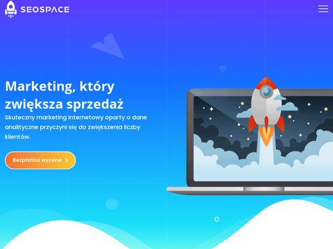 Seospace.pl - kampanie adwords
