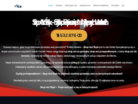 Skupaut24.slask.pl - efektywna sprzedaż przez