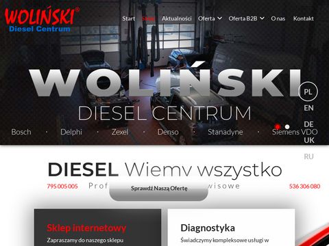 Wolinski.com.pl - wtryskiwacze regeneracja