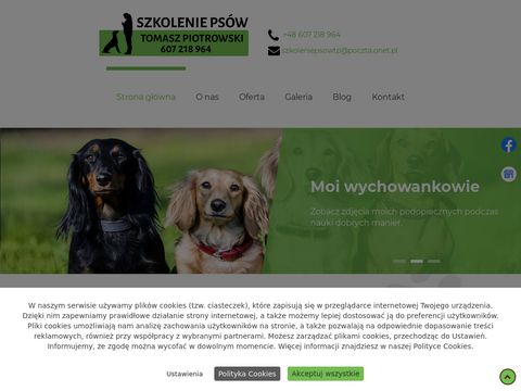 Szkoleniapsowtp.pl - szkolenie psów Sulejówek