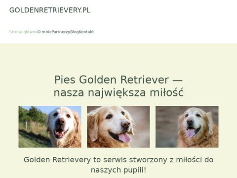 GoldenRetrievery.pl - serwis ogólnotematyczny