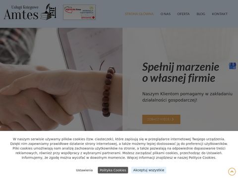 Amtes-ksiegowosc.pl - kontrola finansowa Gliwice