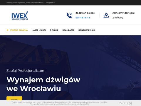 Iwex-dzwigi.pl - dźwigi i żurawie Wrocław