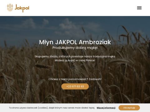 Jakpol-ambroziak.pl - mąka pszenna typ 450-tortowa