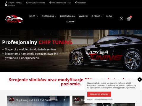 Chiptuningpro.pl silników