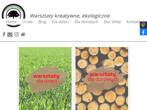 Ekoprzystanek.pl - warsztaty dla dorosłych