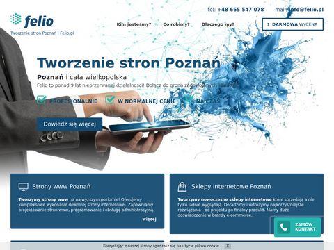 Felio.pl tworzenie stron Poznań