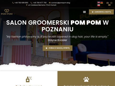 Pom Pom - szkolenia groomerskie Poznań